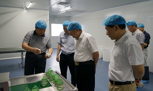 株洲市委常委、宣传部长聂方红一行实地考察化妆品生产与品牌推广中心