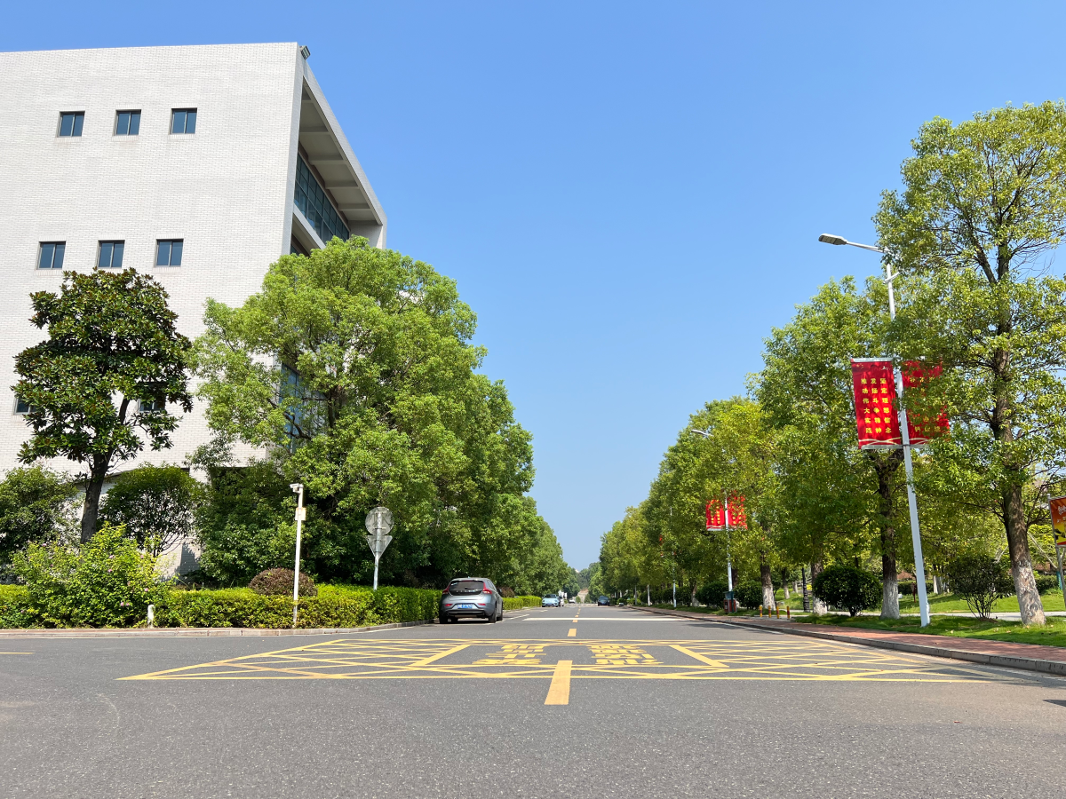 通天大道--智能学院尹霞.png